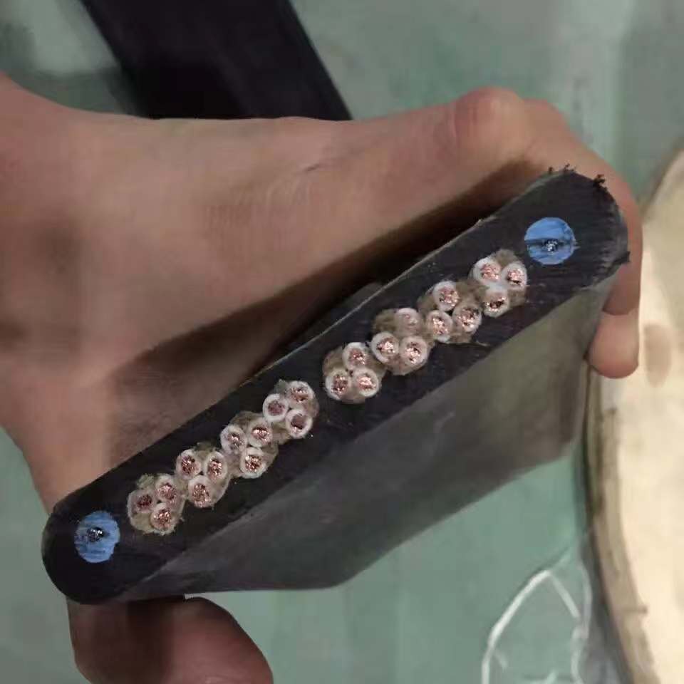 特种钢丝扁电缆实拍