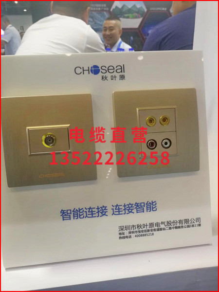 秋叶原网络线6